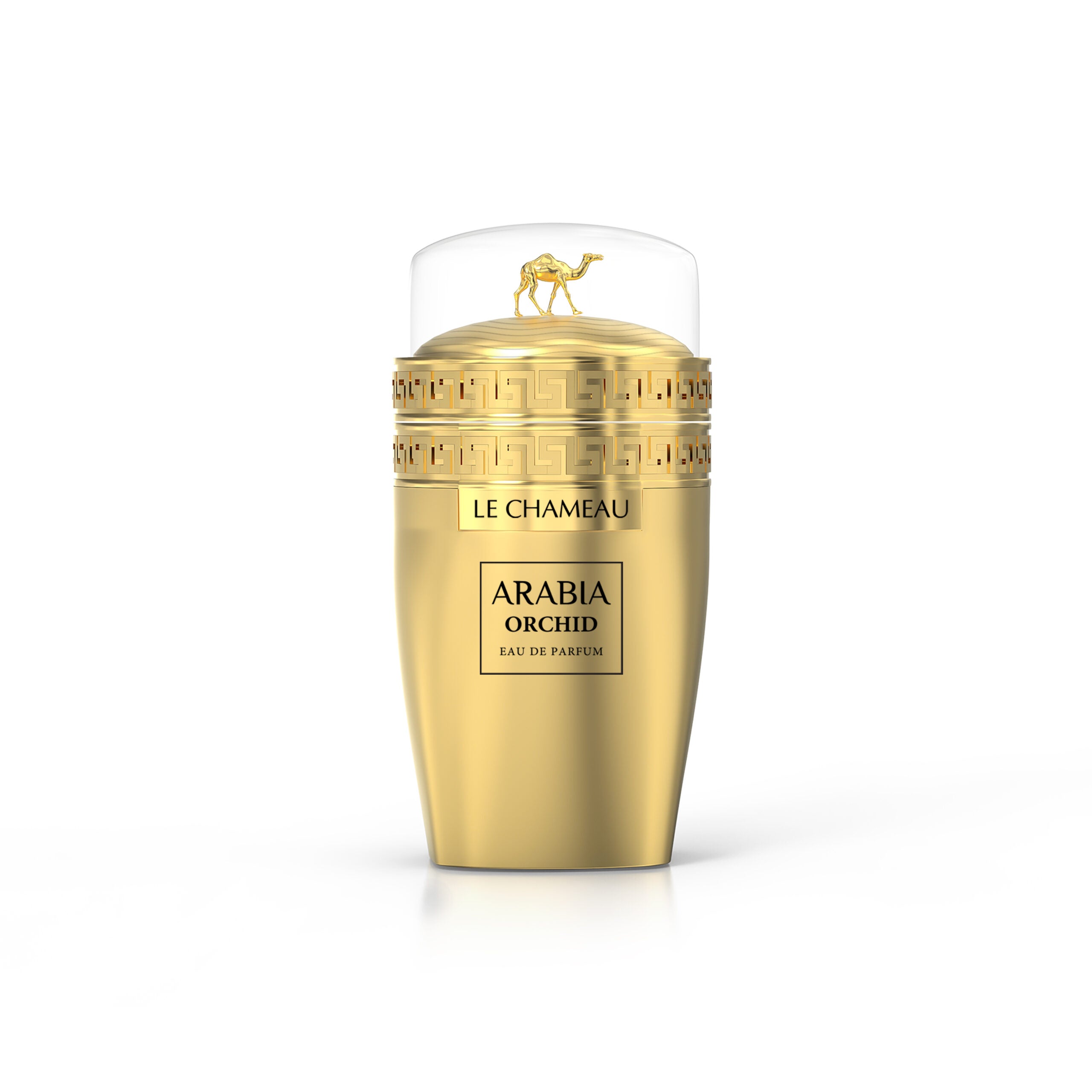 Arabia Orchid – Le Chameau