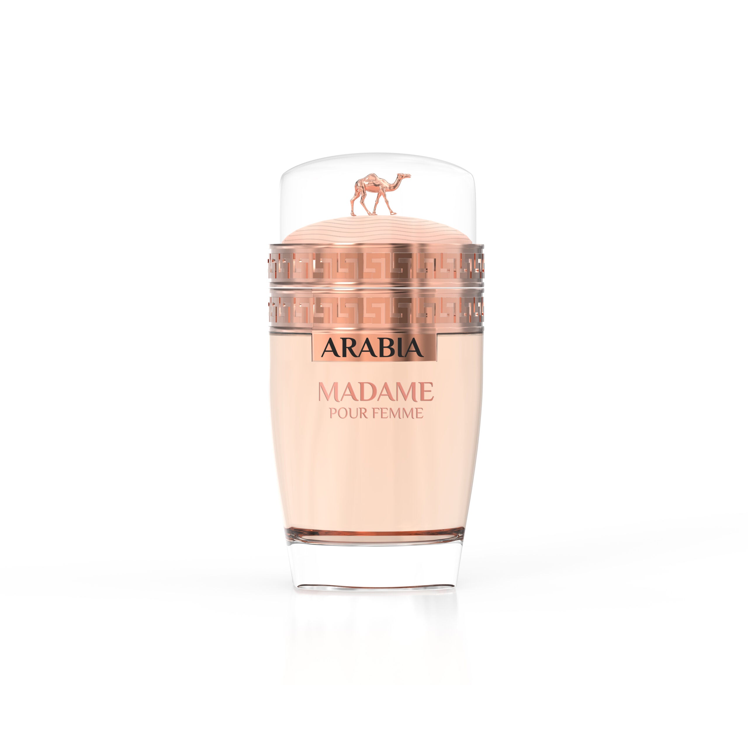 Arabia Madame – Le Chameau