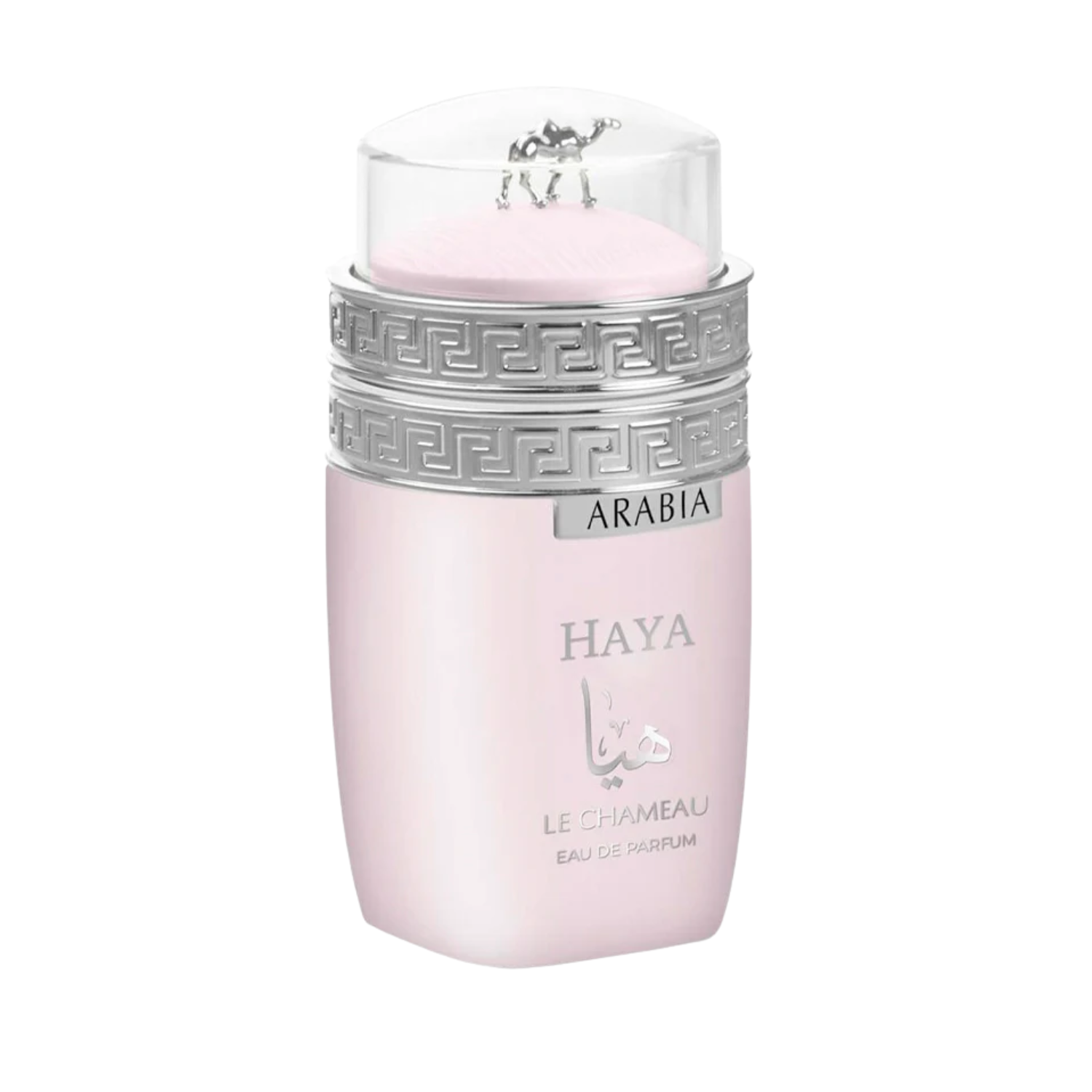 Arabia Haya – Le Chameau