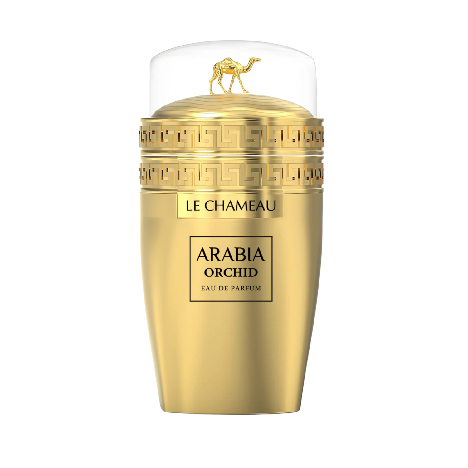 Arabia Orchid – Le Chameau