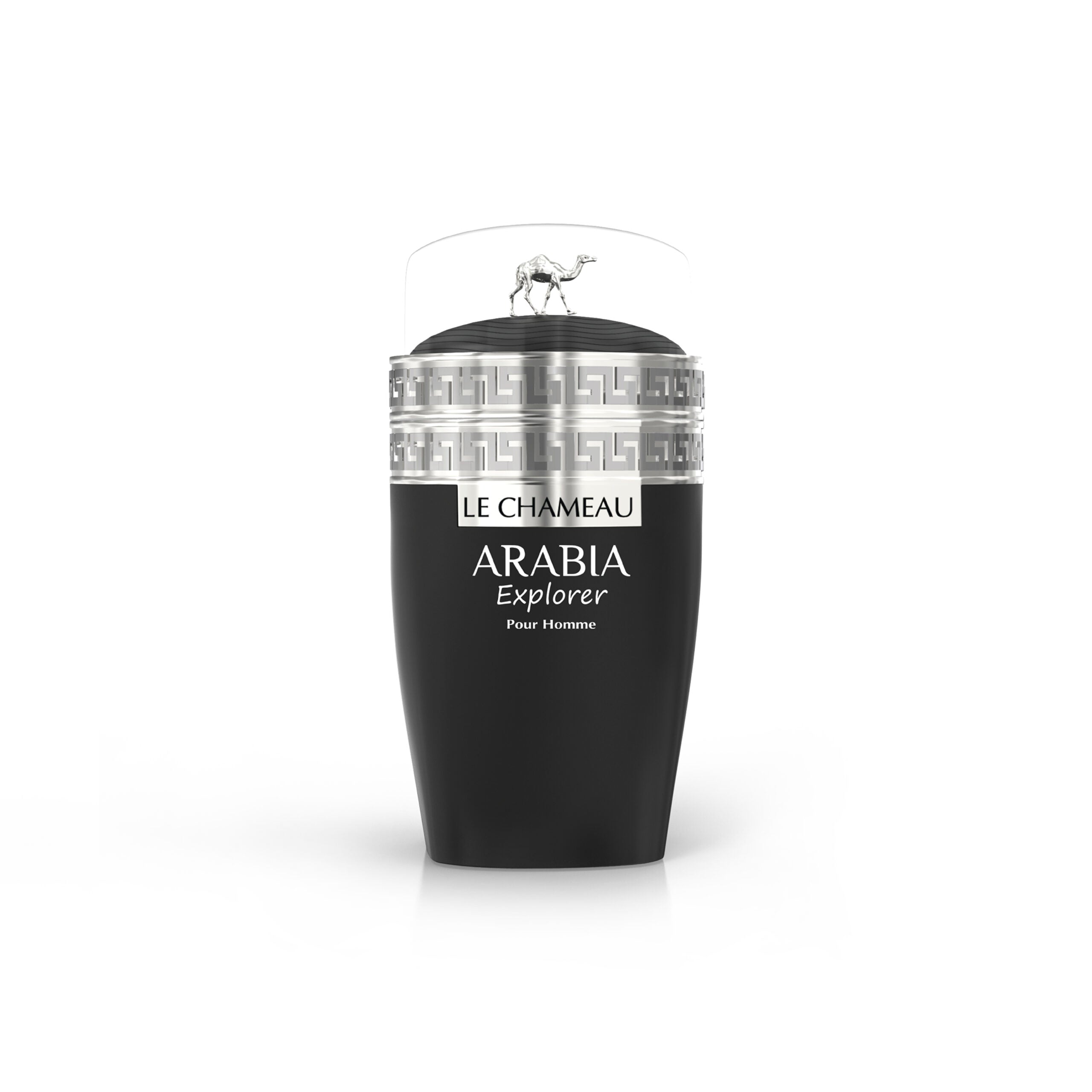 Arabia Explorer – Le Chameau