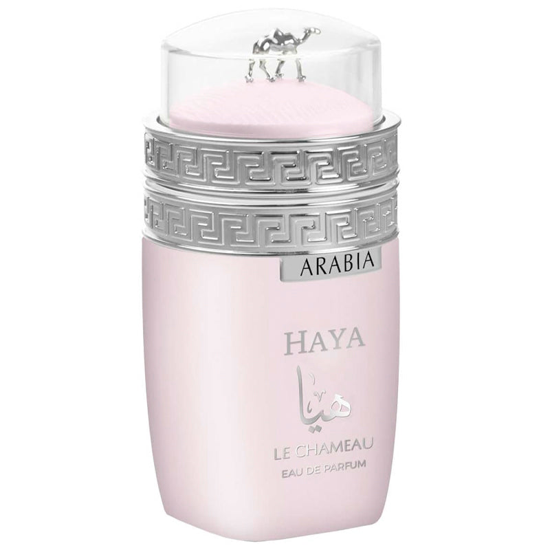 Arabia Haya – Le Chameau