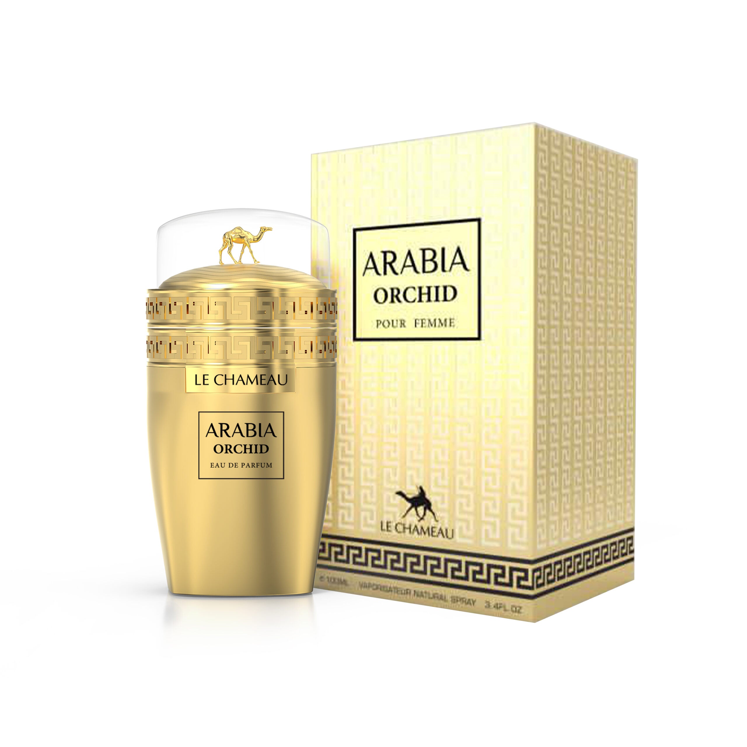 Arabia Orchid – Le Chameau