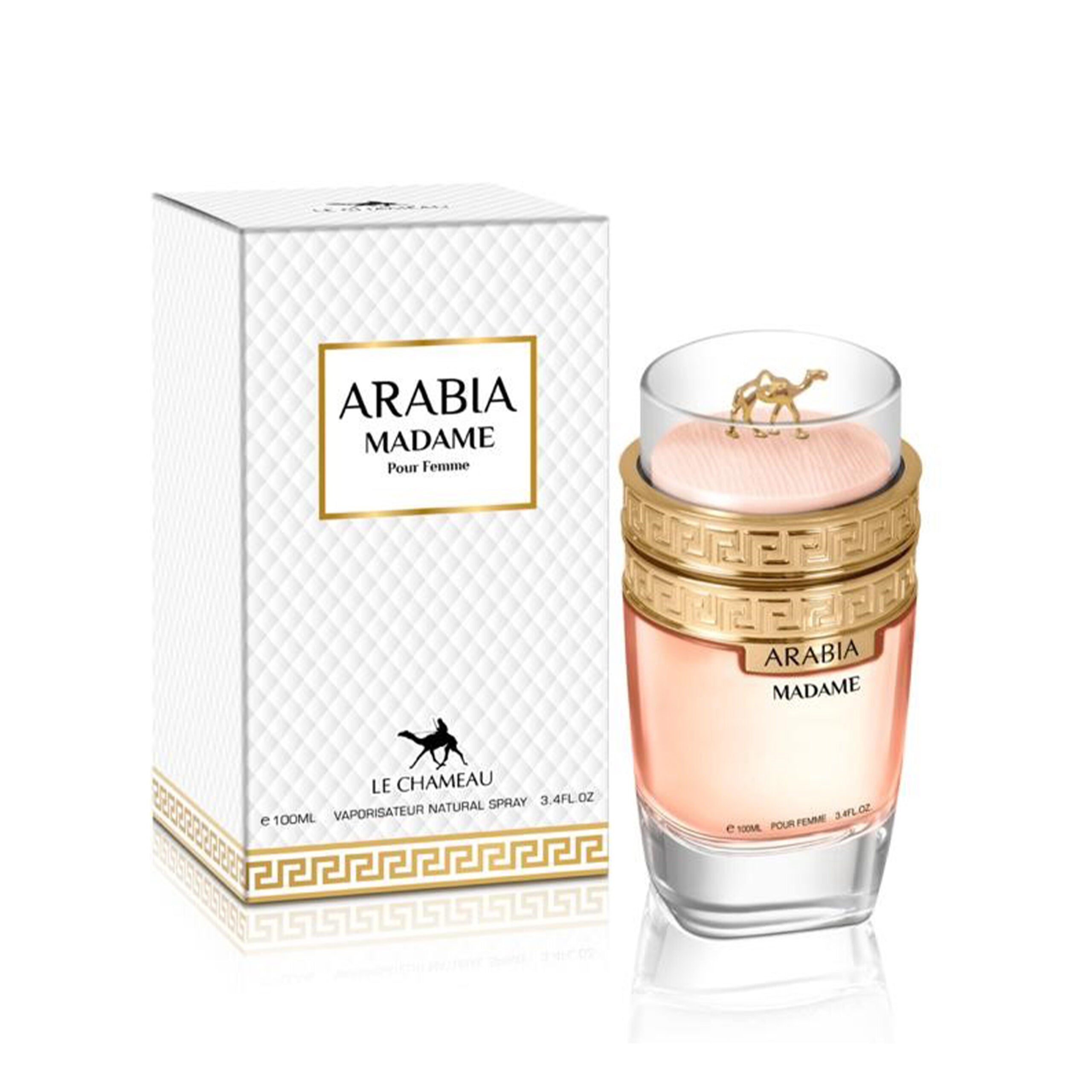 Arabia Madame – Le Chameau