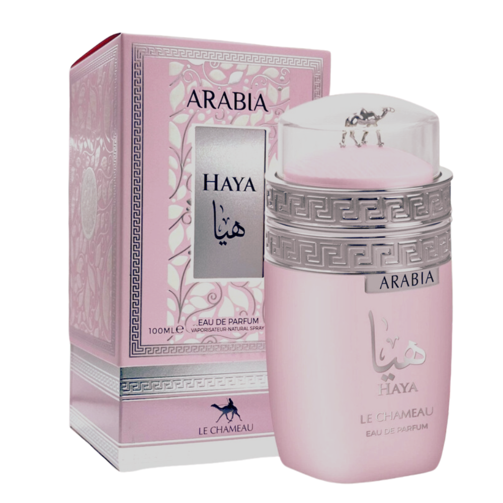 Arabia Haya – Le Chameau